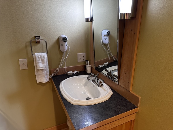 ADA King Suite Photo 7