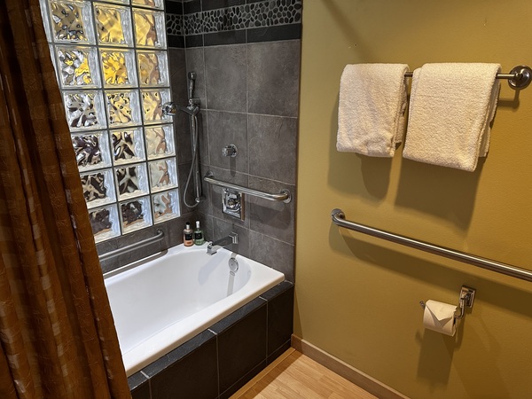 ADA King Suite Photo 9